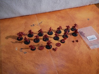 Blood Bowl Team Imperial-Nobility Bögenhafen Barons + 1x Oger 1x Griff Oberwald