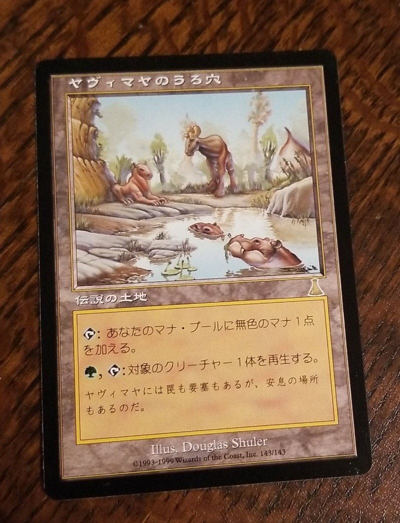 MTG ヤヴィマヤのうろ穴/Yavimaya Hollow UDS 日本語版 2枚
