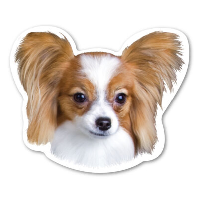 Papillon Magnet