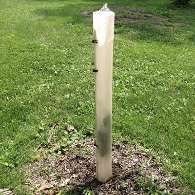5ft Plantra SunFlex Greenhouse Grow Tube for Deciduous Trees Deer Shield Qty 1