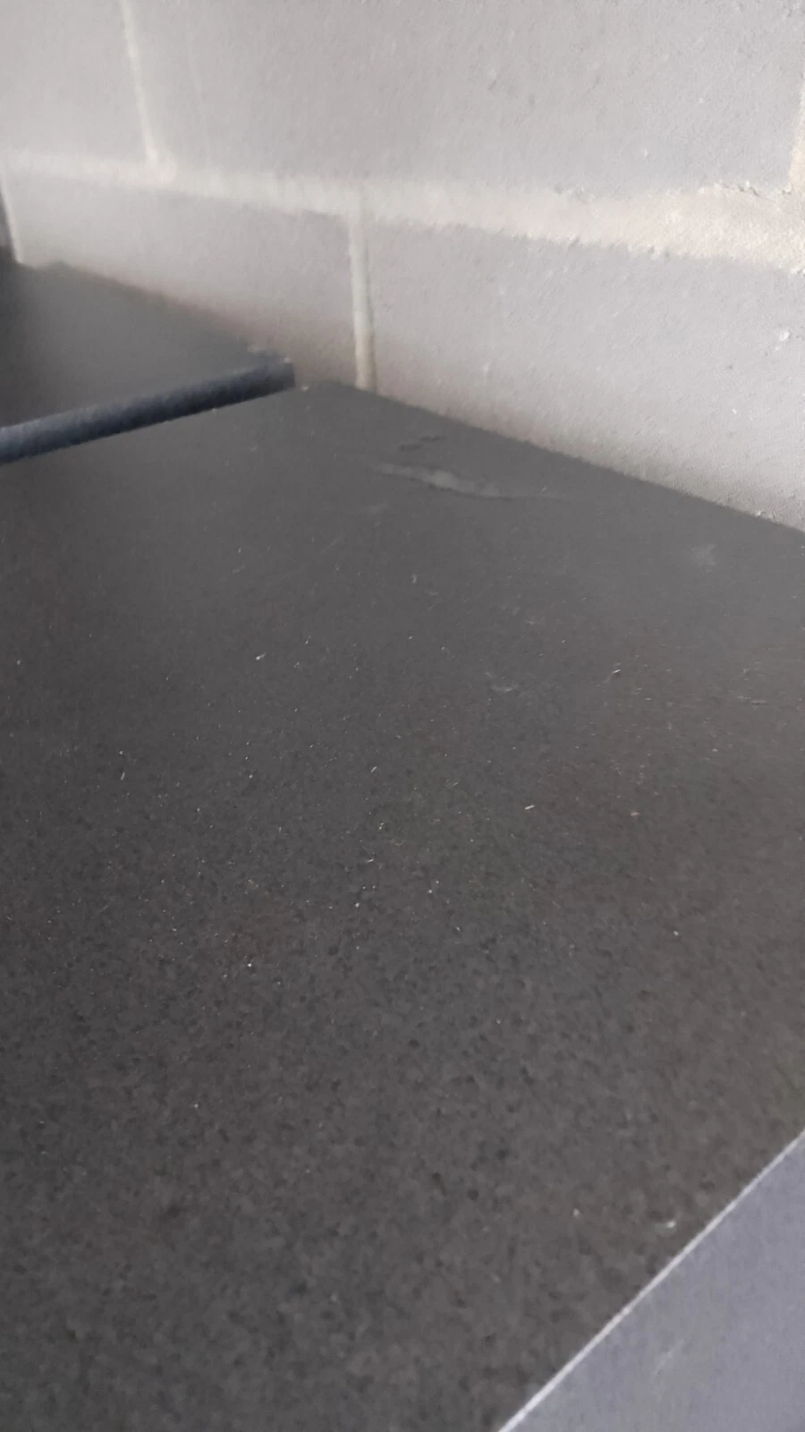 Picture 12 of 12
