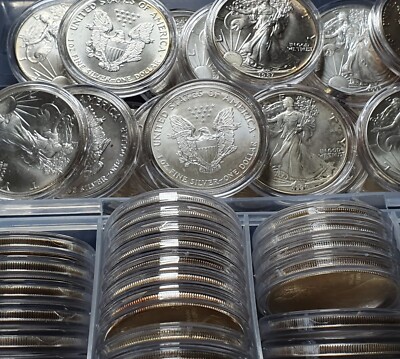 USA American Eagle 1 Oz. Silber Münzen 1 Unze Silver 1986 - 2026 alle Jahrgänge