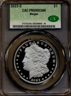 2023-S Morgan Dollar — photo from another recent sale