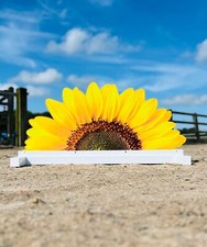 Show Jump Standing Filler &ndash; Sunflower PVC &ndash; 120 x 60 cm &ndash; Alloy White Powder-Coa