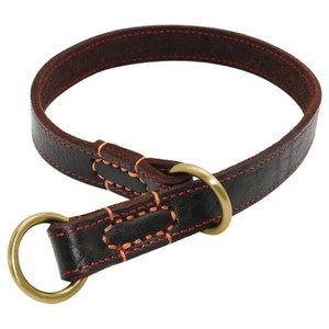 leather training collar