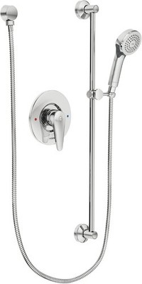 MOEN T9346EP15 Commercial Hand Shower Trim with Slide Bar in Chrome