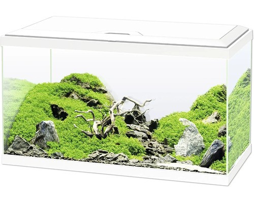 Aquarium Set Ciano Inkl. Abdeckung Led Beleuchtung Filtersystem Inklusive UmwäLz-image