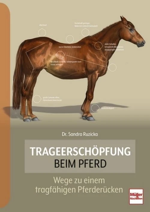 Sandra Ruzicka Trageerschöpfung beim Pferd - Bild 1 von 4