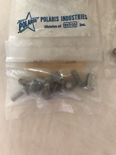 Polaris Oem Screw 7511915 Lot Of 41 - Foto 6 di 6
