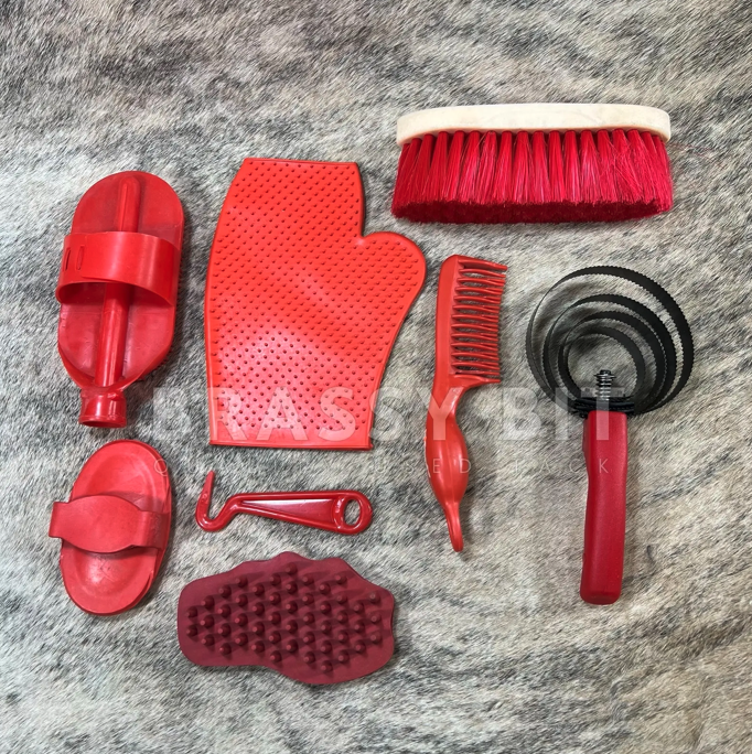 Horse Grooming Kit eBay
