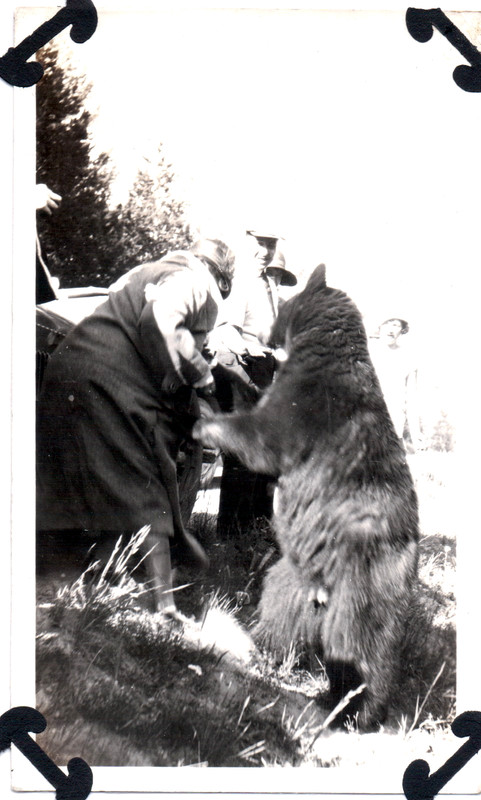 VINTAGE PHOTOGRAPH GIRLS MEN BEAR HAT FASHION YELLOWSTONE PARK WYOMING OLD PHOTO