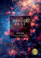 Bright Dust Jane Lightbourne Taschenbuch Englisch 2024 Troubador Publishing Ltd