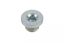 Genuine GM Water Pump Plug 11588949