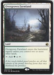 Overgrown Farmland - Innistrad: Midnight Hunt (MID) #265