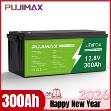 12V 300Ah LiFePO4 Lithium Battery 300Ah BMS Deep Cycles for Trolling Motor RV