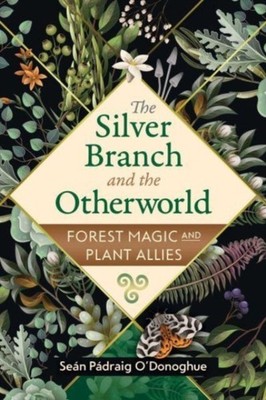 SILVER BRANCH & THE OTHERWORLD by O'DONOGHUE, S P Paperback Self Help Business