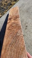 Curly Spalted Maple Stump B519 