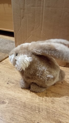 Furry Friends Discovery Store .Mopsey It's Not A Weal Wabbit - Picture 12 of 12