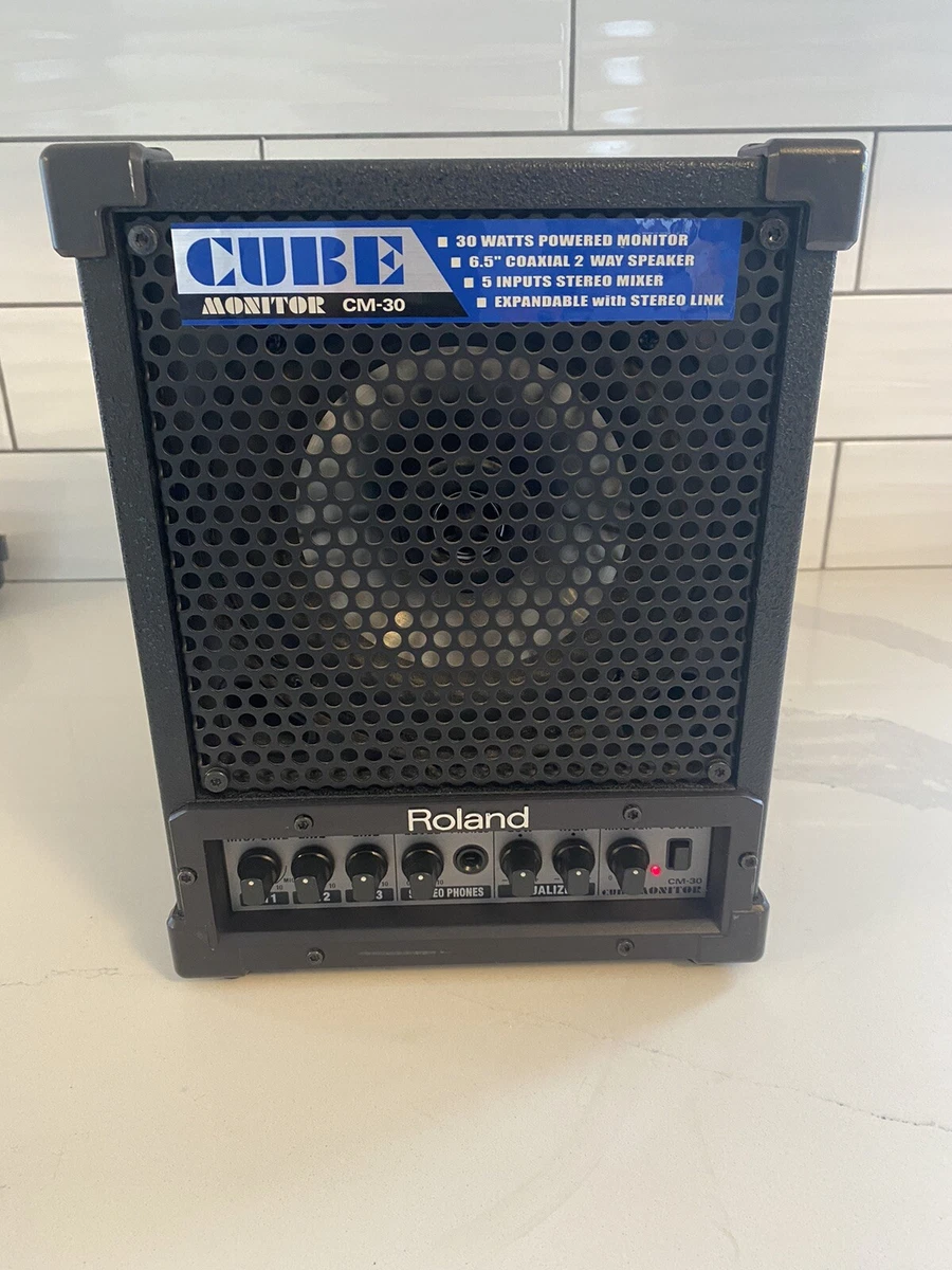 Roland CM-30 CUBE 30W 6.5 inch 2-way Portable Active Monitor w