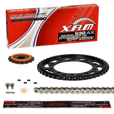 Kettensatz Yamaha FZR 600 R (4MH) 94-95, XAM AX EXTRA, X-Ring, Silent Plus