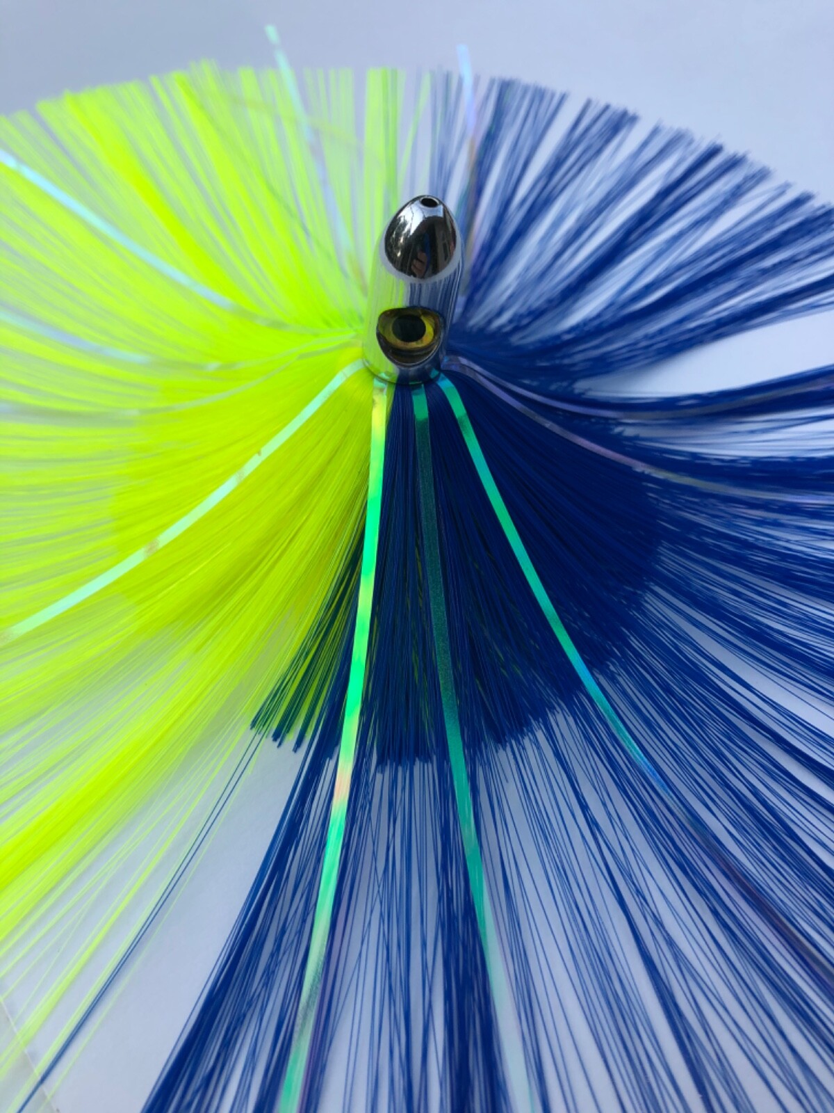 Picture 68 of 132