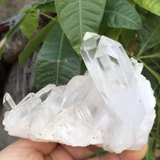 347g  Natural Clear White Quartz Crystal Cluster Rough Healing Specimen