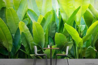3D Green Plant Leaves Close-up Wall Murals Wallpaper Murals Wall Sticker 2
