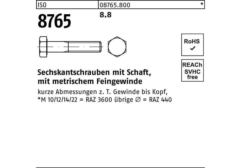 Рейхерское защитное устройство ISO 8765 m.Schaft M 20 x1,5 x110 8,8