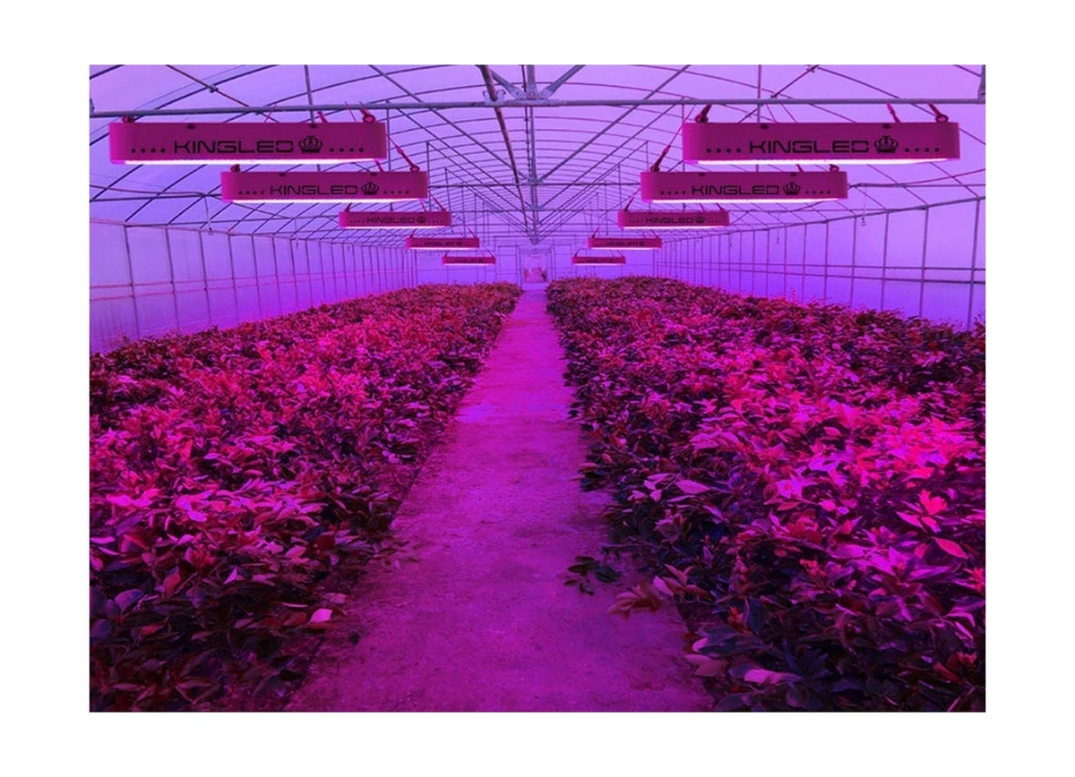 Kingled grow light deals