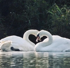 11x14 whit frame and Photo Print Laura Ann Gifts True Love