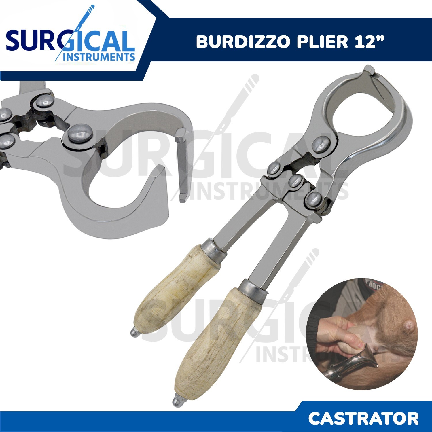 Castrator for Bloodless castration Burdizzo Plier ( Emasculatome ) 12