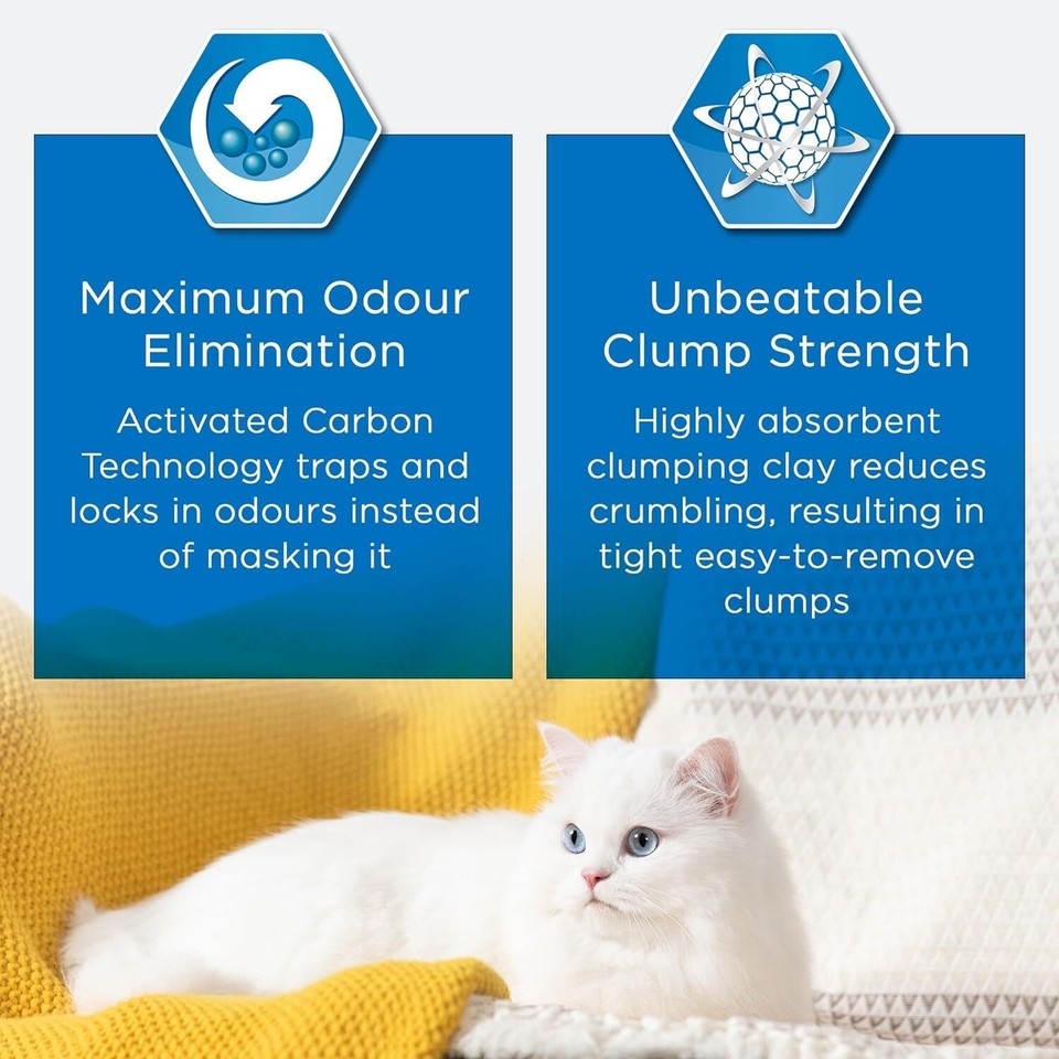 Ever Clean Clumping Cat Litter, Scented Cat Litter, Litterfree Paws, 10