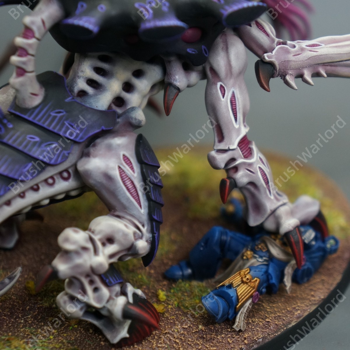 Toxicrene Maleceptor Xenos Armies Tyranids Warhammer 40K Presale