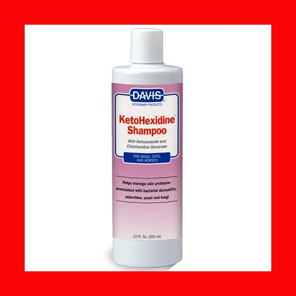 Davis KetoHexidine Medicated Shampoo 12 oz Chlorhexidine Seborrhea Fungi Bacteri