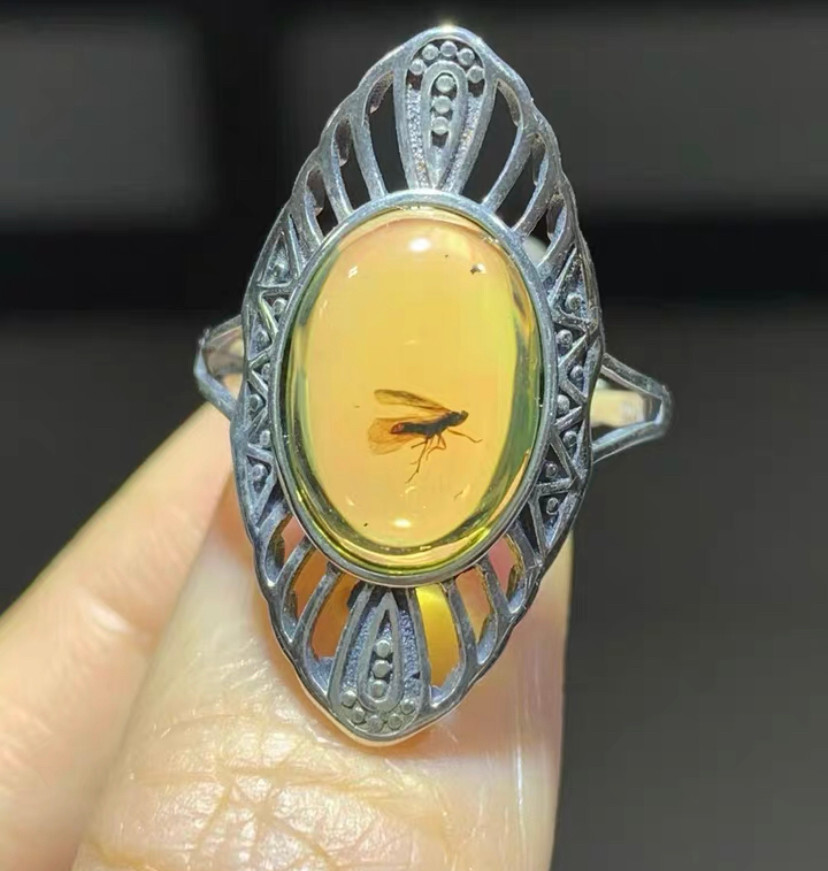 Burmite Fossil Cretaceous amber Cicada insect ring Burmese Fossil