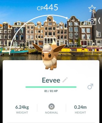 Non Shiny Explorer Eevee mit Amsterdam Hintergrund Pokémon Go