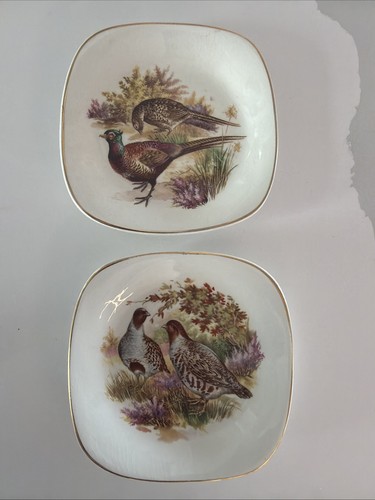 2 Vintage Enoch Wedgwood Tunstall Ltd Plates - Wild Game Birds Quail , Pheasants