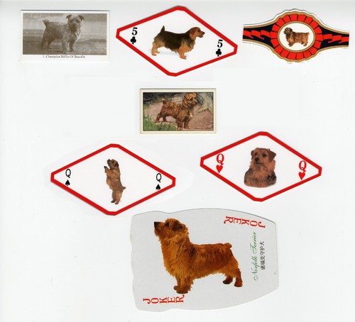 NORFOLK TERRIER COLLECTION OF VINTAGE DOG COLLECTABLE CARDS & BANDS
