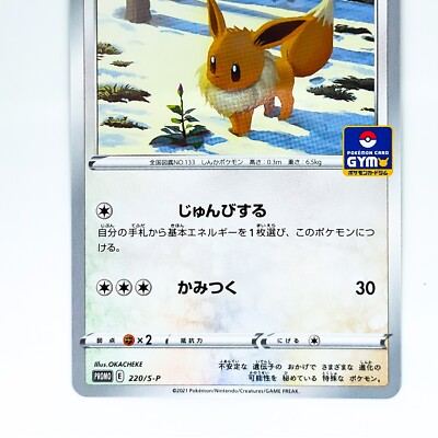 Eevee 220/S-P GYM PROMO - Pokemon Card Japanese | eBay