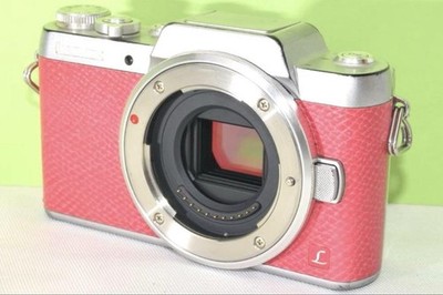PANASONIC LUMIX DMC-GF7 16.0 MP Mirrorless SLR Camera | eBay