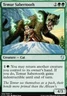 1 x Temur Sabertooth - Commander 2017 - Moderate Play - MTG