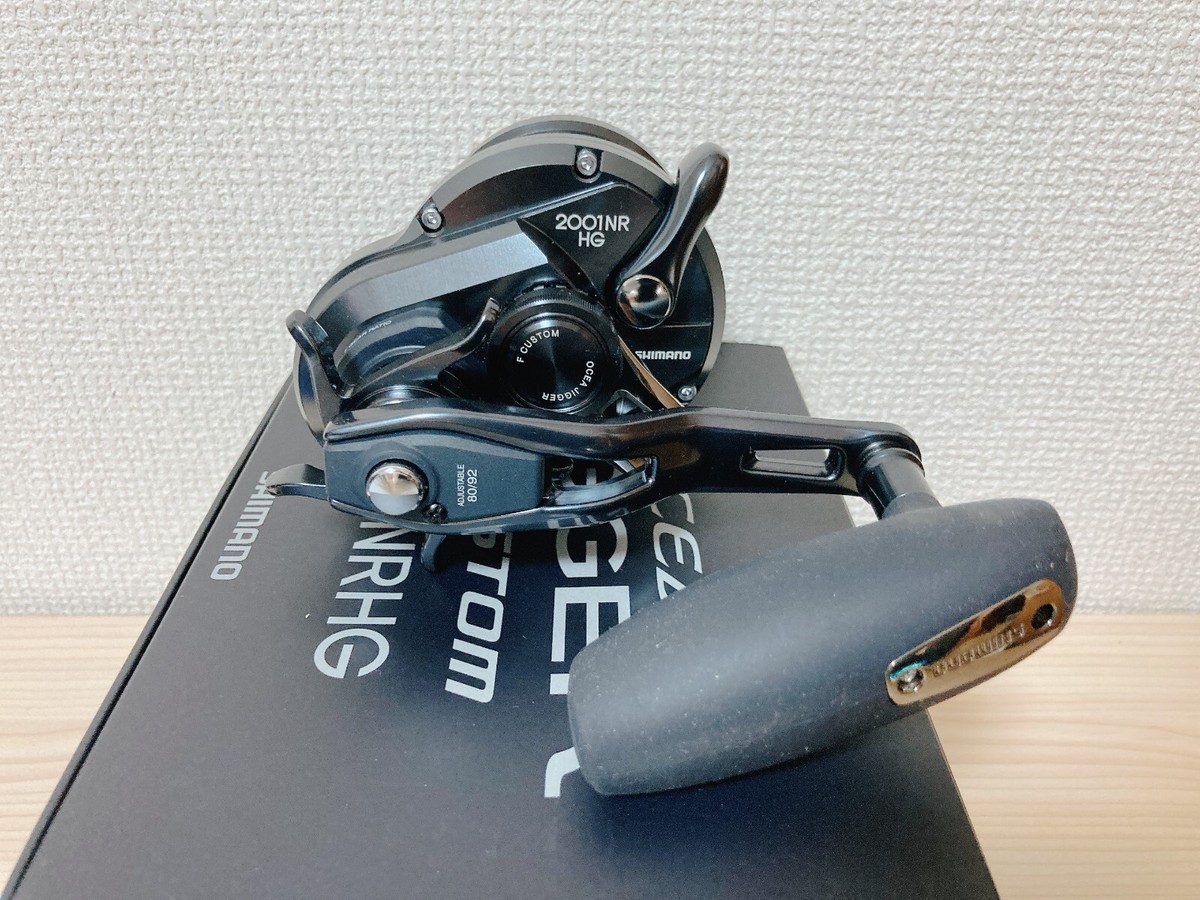 Baitcasting Reel 19 OCEA JIGGER F CUSTOM 2001NRHG Left 6.2:1 IN