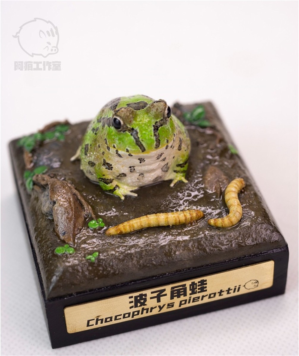 小物 Frog 1/1 Chacophrys Pierottii Model Frog Wild Animal Figure GK