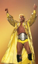 Nature Boy Ric Flair Legend Wrestling High Quality Magnet 3 in by 4 in 877