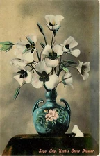 C1910 Utah Sego Lily State Flower Souvenir Novelty  Interior Postcard 25-1113