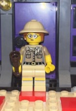 LEGO Series 13 Collectible Minifigures 71008