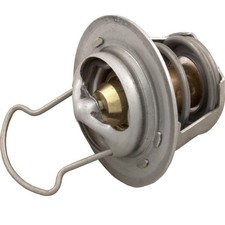 Pentair 38000-0007S Thermal Regulator w/ Spri...