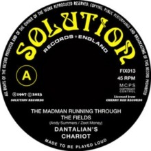 Dantalian's Chariot - Madman Running Through The Fields - Vinyl Record 7 - G4z