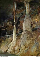 Postcard - Caving - Caves of Betharram - Column in Formation - Pot