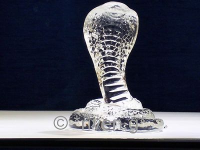 KÖNIGSKOBRA Figur@KRISTALL Glas SCHLANGE@UNIKAT Sammlerstück Geschenk@GIFTIGES REPTIL